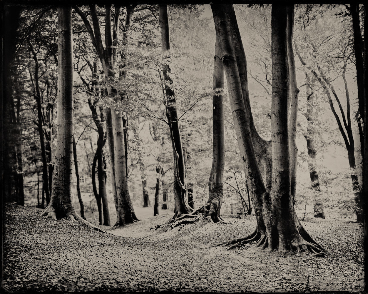 ChristianKlant_16x20WetPlateLandscapes-1_1000px