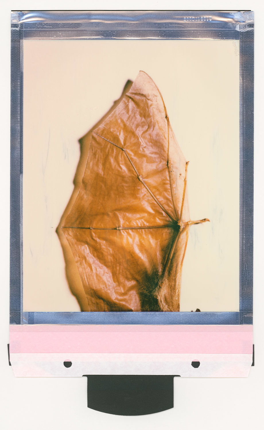 ChristianKlant_Polaroid-4