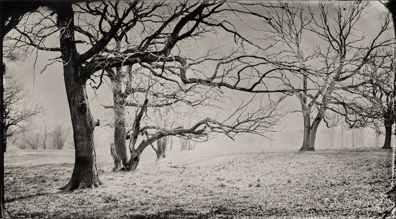 ChristianKlant_WetPlateLandscapes_SOURCE-1